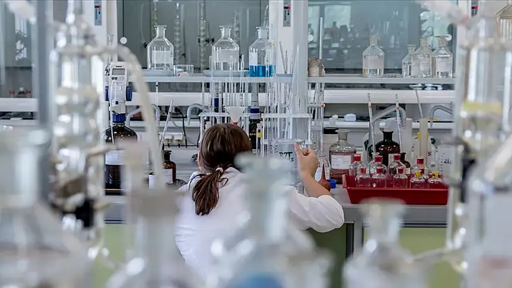 'Tersine beyin göçü' detsekleniyor