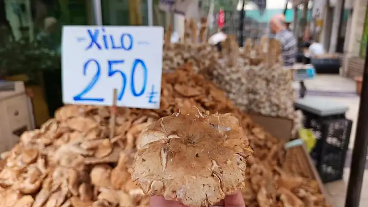 Tezgahlarda tirmit bolluğu