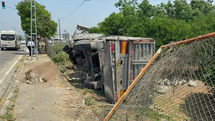 Tır narenciye bahçesine devrildi