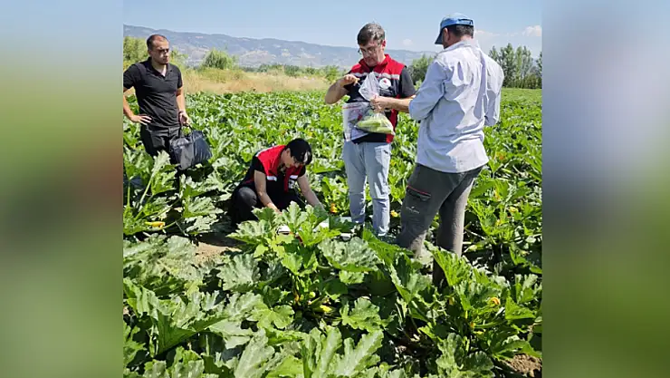 Tokat'ta hasat öncesi pestisit denetimleri sürüyor