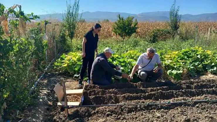 Tokat'ta salep üretimine başlandı