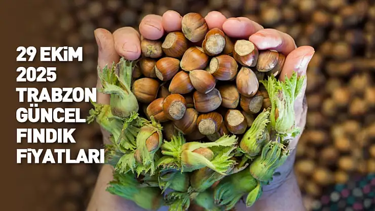 Trabzon 29 Ekim 2025 Güncel Fındık Fiyatları: Serbest Piyasada Fındık Ne Kadar?