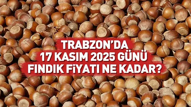 Trabzon'da 17 Kasım Fındık Fiyatları Ne Durumda? Yukarı Yönlü Başlangıç!