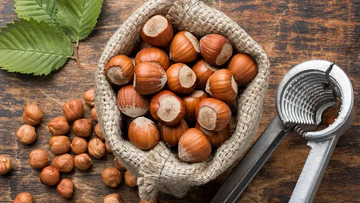 Trabzon'da 22 Kasım 2025 Fındık Piyasası Ne Durumda? Rakamlar Haberimizde