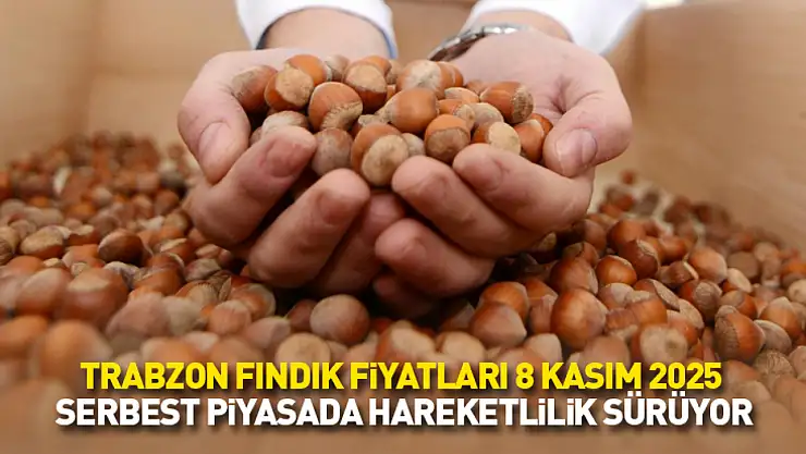 Trabzon Fındık Fiyatları 8 Kasım 2025: Serbest Piyasada Hareketlilik Sürüyor
