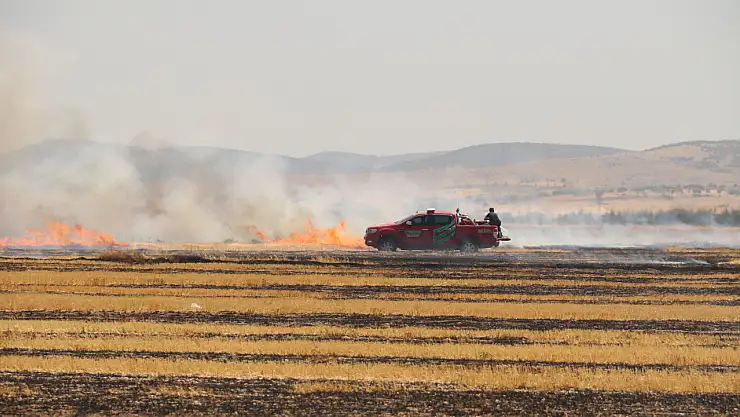 Trafodan çıkan yangında 50 dönüm tarım arazisi kül oldu
