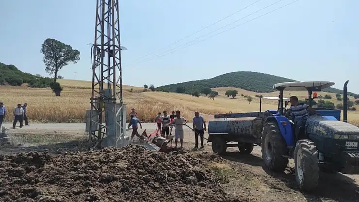 Trafoya çarpan kuş yangına sebep oldu