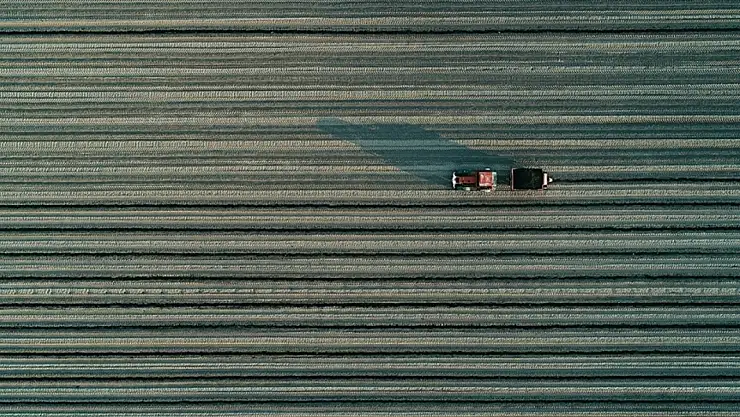 Türkiye'nin Organize Tarım Bölgeleri Yaygınlaşıyor