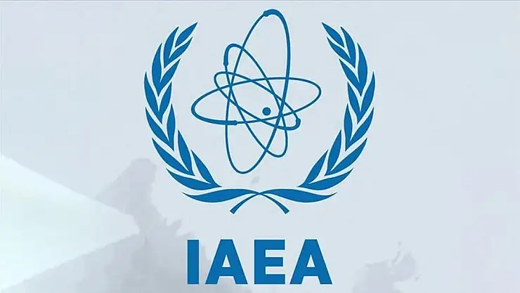 UAEA, Güney Ukrayna Nükleer Santrali yakınında dron düştüğünü bildirdi