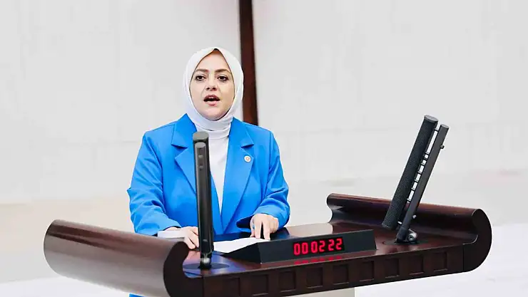 'Vahşi madencilik kar dışında hiçbir değeri tanımıyor'