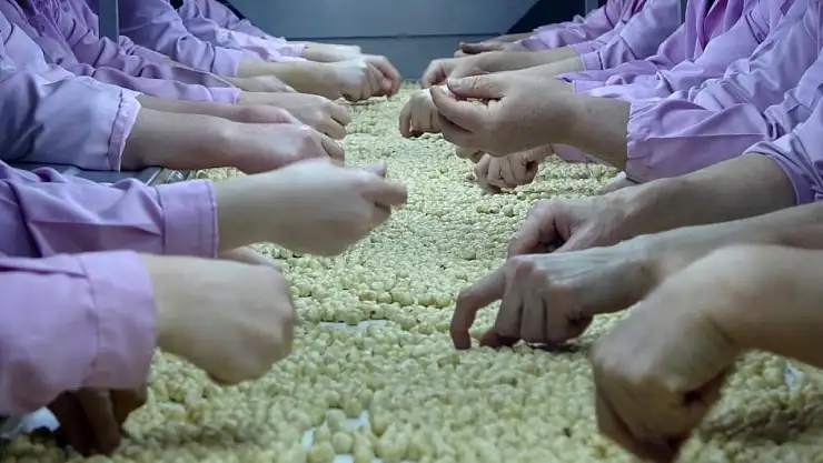 Yedi ayda 14 bin 348 ton ihraç edildi