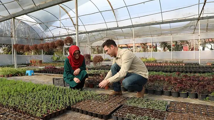 Yerel Kalkınmanın Renkli Yüzü: Muğla'nın Çiçek Projesi Büyüyor