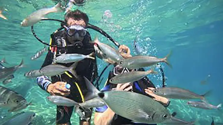 Yerli turistin ilgisi sektörü ayakta tutuyor