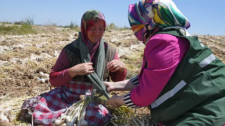 Yeşilaydan tarladaki kadınlara ziyaret