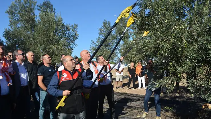 Yılın ilk zeytinyağı üretimi yapıldı