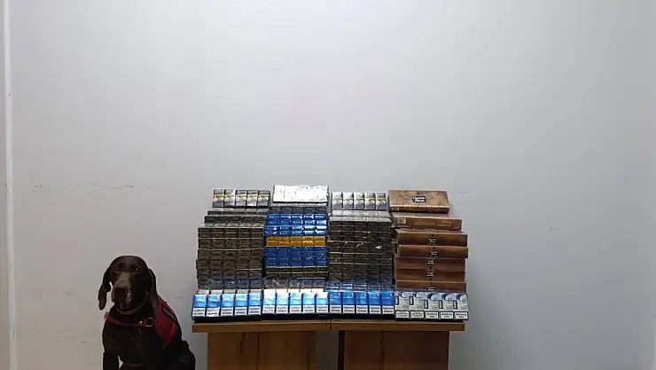 Yolcu otobüsünde 1650 paket kaçak sigara ele geçirildİ