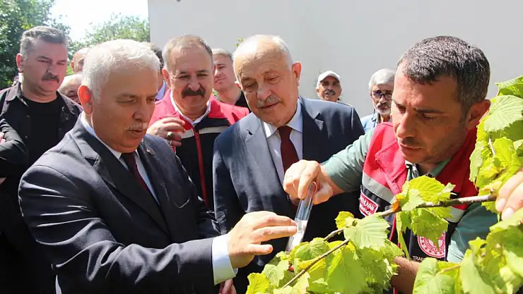 Zararlıya karşı samuraya umutla bakılıyor