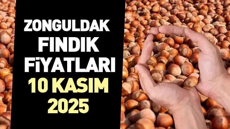 Zonguldak Fındık Fiyatları 10 Kasım 2025: Serbest Piyasada Alım Talebi Zirvede!