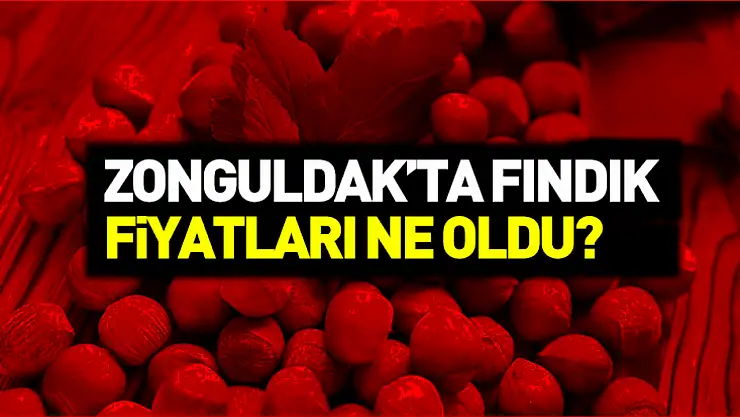 Zonguldak Fındık Fiyatları 11 Kasım 2025