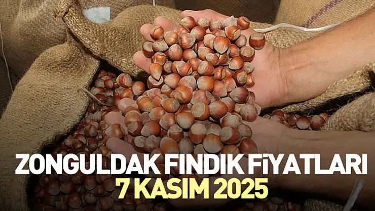 Zonguldak Fındık Fiyatları 7 Kasım 2025