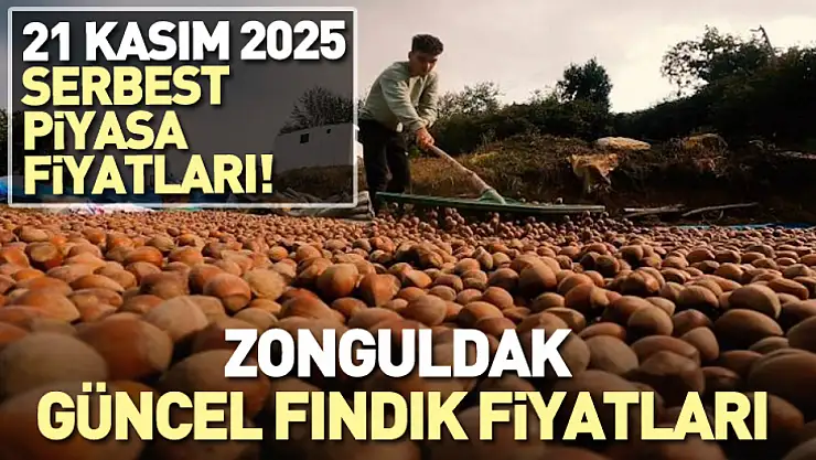 Zonguldak Güncel Fındık Fiyatları! İşte 21 Kasım 2025 serbest piyasa fiyatları!