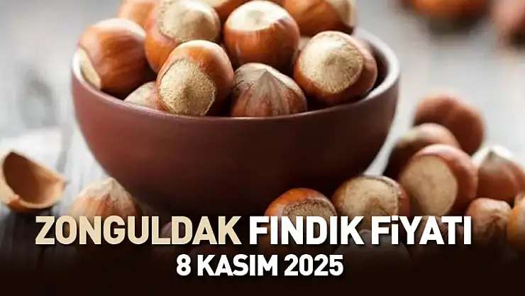 Zonguldak'ta Fındık Fiyatları Yükselişte: 8 Kasım 2025 Güncel Serbest Piyasa Rakamları