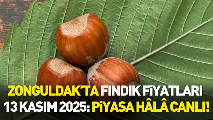 Zonguldak'ta Fındık Fiyatları 13 Kasım 2025: Piyasa Hâlâ Canlı!