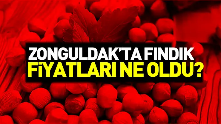Zonguldak'ta Fındık Fiyatları | 19 Kasım 2025