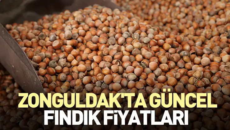 Zonguldak'ta Güncel Fındık Fiyatları