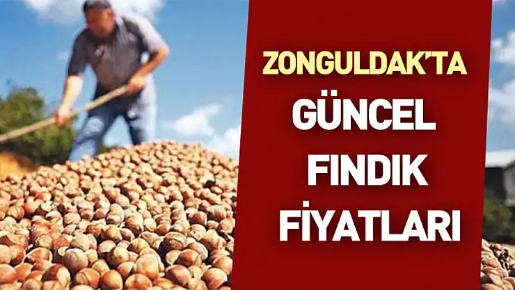 Zonguldak'ta Güncel Fındık Fiyatları : 20 Kasım 2025