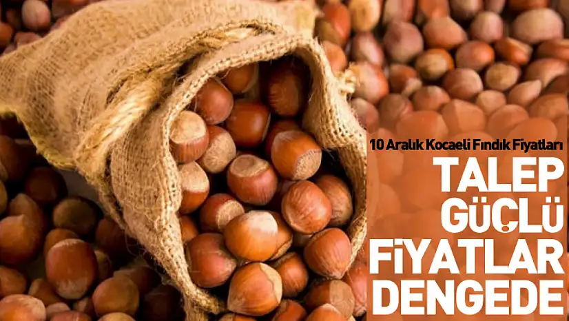 10 Aralık Kocaeli Fındık Fiyatları | Talep Güçlü, Fiyatlar Dengede