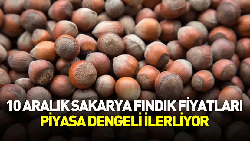 10 Aralık Sakarya Fındık Fiyatları | Piyasa Dengeli İlerliyor