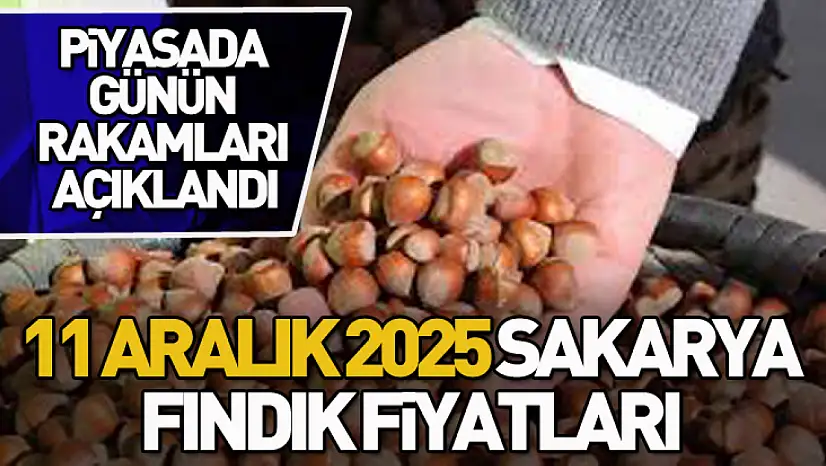 11 Aralık 2025 Sakarya Fındık Fiyatları | Piyasada Günün Rakamları Açıklandı