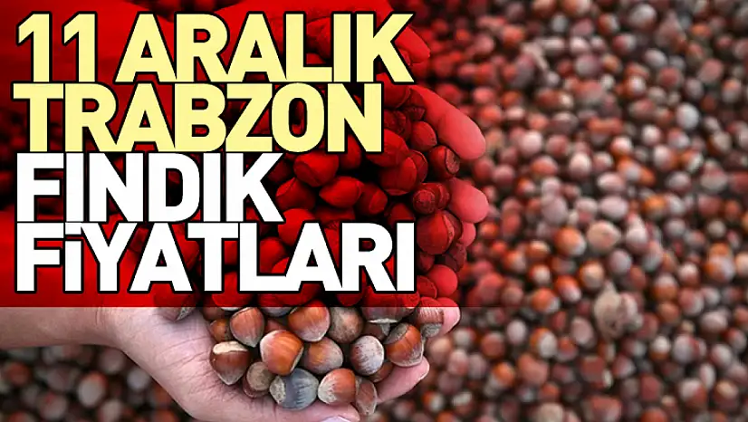 11 Aralık 2025 Trabzon Fındık Fiyatları