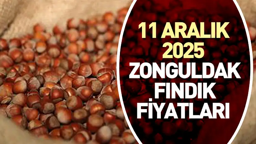 11 Aralık 2025 Zonguldak Fındık Fiyatları | Serbest Piyasada Günün Rakamları Belli Oldu