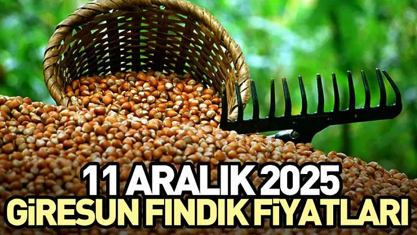 11 Aralık Giresun Fındık Fiyatları Açıklandı!