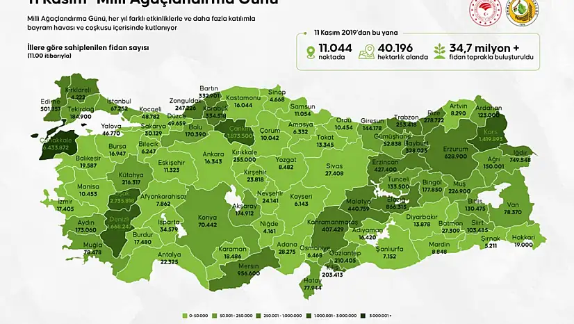 11 Kasım 'Milli Ağaçlandırma Günü'