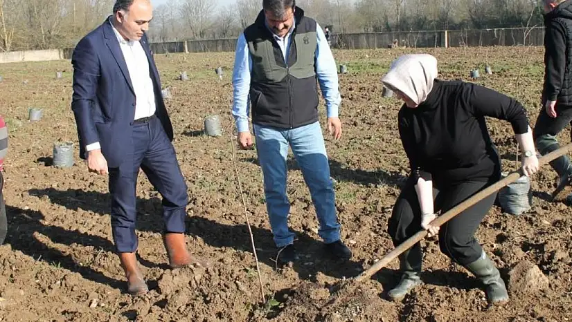 Fındıkta verim ve kalite artıracak proje