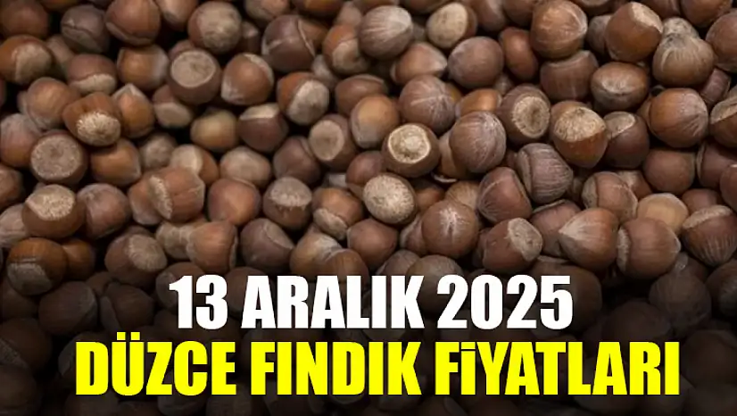 13 Aralık Düzce Fındık Fiyatları