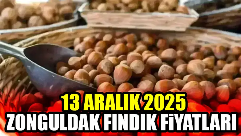 13 Aralık Zonguldak Fındık Fiyatları