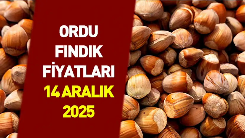 14 Aralık Ordu'da Fındık Fiyatları | İlçelerde Yeni Bant Oluştu, Üretici Satışa Kapalı