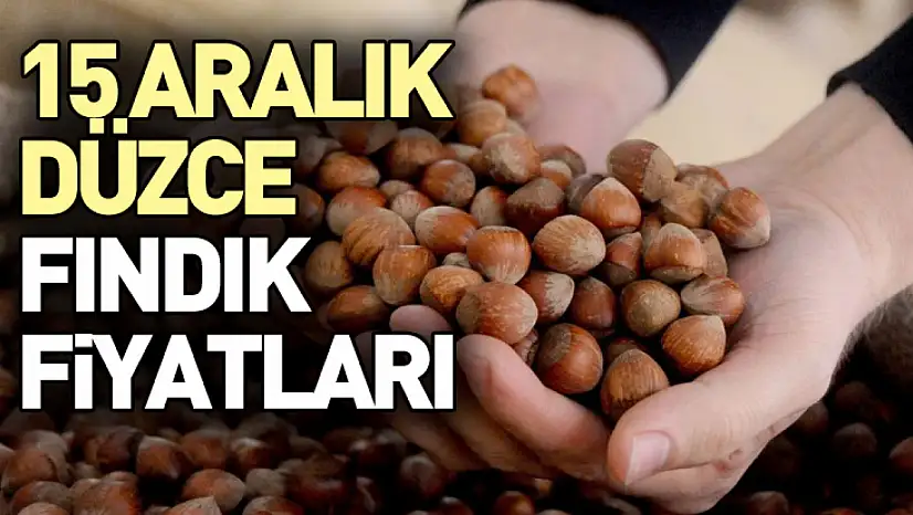 15 Aralık Düzce Fındık Fiyatları