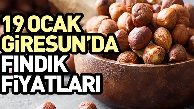 19 Ocak 2026 Giresun'da Fındık Fiyatları