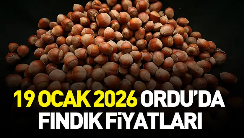 19 Ocak 2026 Ordu'da Fındık Fiyatları