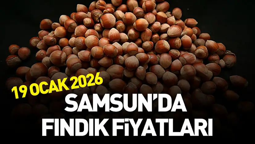 19 Ocak 2026 Samsun'da Fındık Fiyatları
