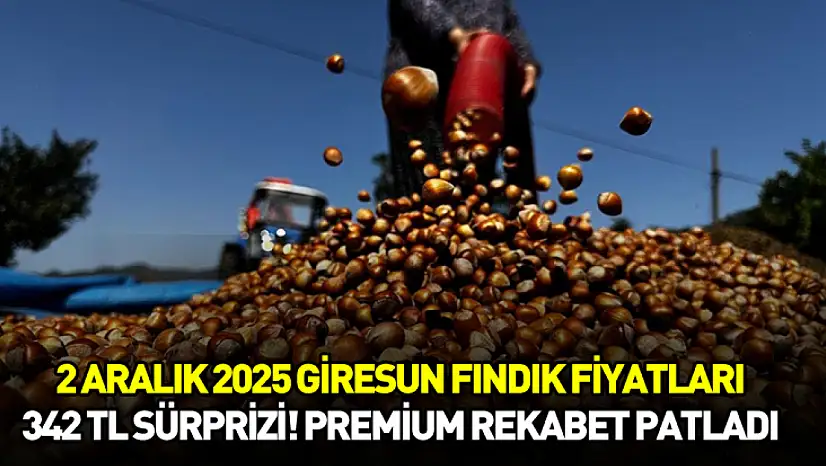 2 Aralık 2025 Giresun Fındık Fiyatları | 342 TL Sürprizi! Premium Rekabet Patladı