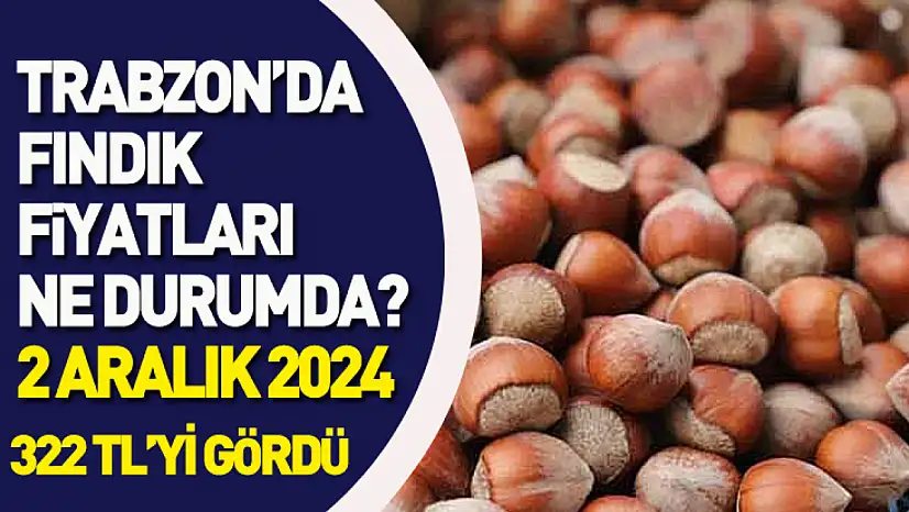 2 Aralık 2025 Trabzon Fındık Fiyatları | Avrupa Talebi Piyasayı Ateşledi: 322 TL Görüldü
