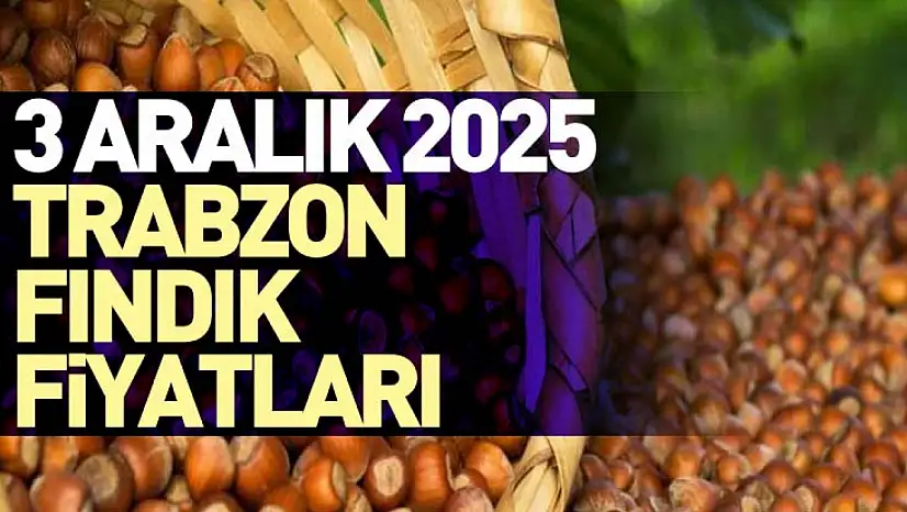 3 Aralık 2025 Trabzon Fındık Fiyatları