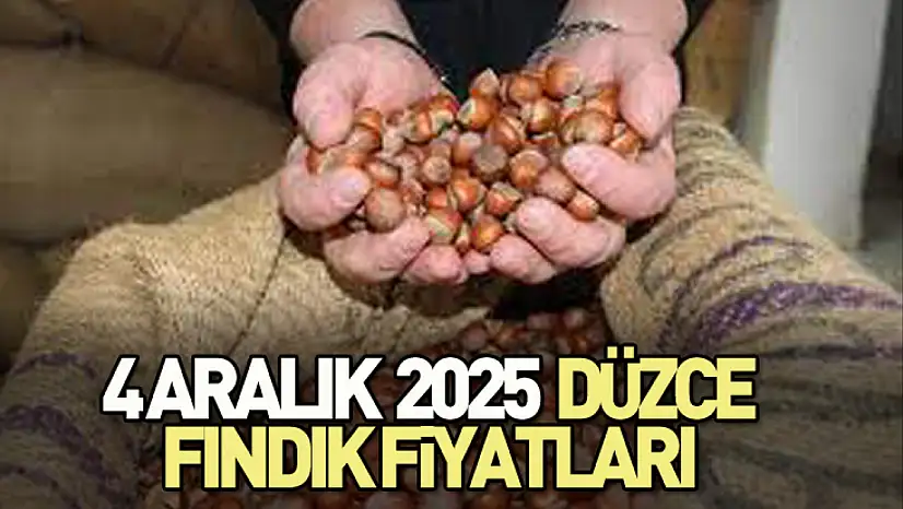 4 Aralık 2025 Düzce Fındık Fiyatları? Akçakoca'da Alım Trafiği Arttı! 316 TL Bandı Yaklaşıyor