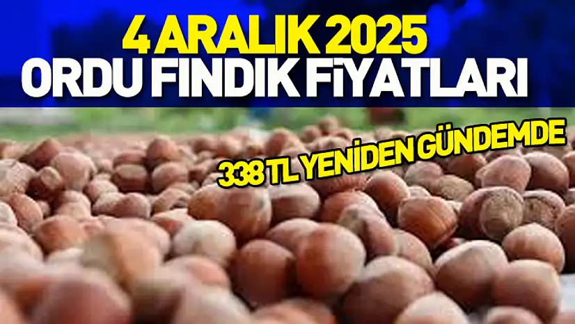 4 Aralık 2025 Ordu Fındık Fiyatları? 338 TL Yeniden Gündemde